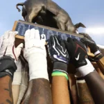 Floyd of Rosedale: Gophers Claim Historic Rivalry Trophy Trifecta