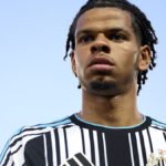 How to Watch Everton vs Newcastle: Free Live Stream & Pre-Season Preview
