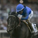 Sovereignty Captures $7M Breeders' Cup Classic, Denies Forever Young Repeat